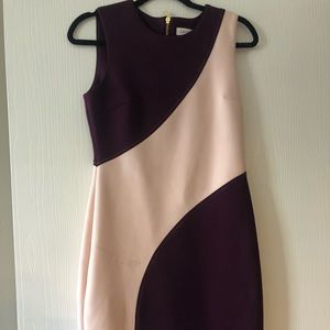 Calvin Klein Scuba Dress